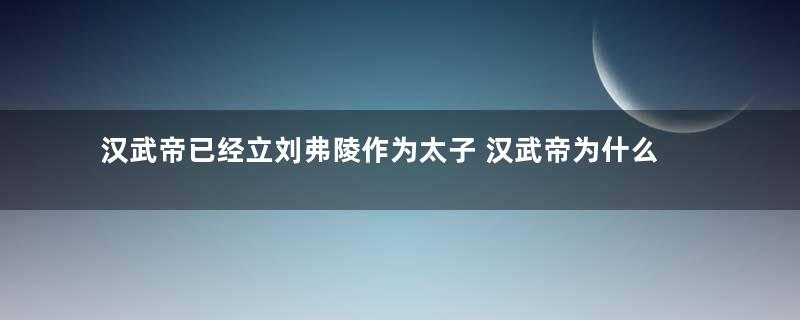 汉武帝已经立刘弗陵作为太子 汉武帝为什么还要杀钩弋夫人
